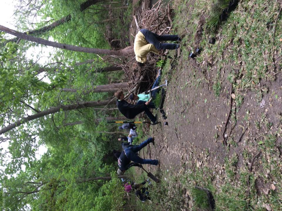 Volunteers planting on planting day at the demonstration site.